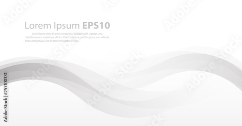 abstract white grey line curve wave background, vector eps10