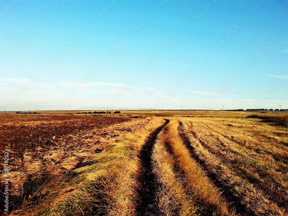 Summer road. Summer heat.