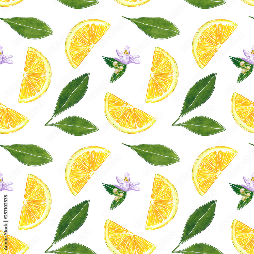 Citrus seamless pattern made of lemon and leaves, hand drawn botanical illustration isolated on white. Citrus seamless pattern made of lemon and leaves, hand drawn botanical illustration isolated on white.