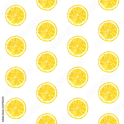 Citrus seamless pattern made of lemon, hand drawn botanical illustration isolated on white.