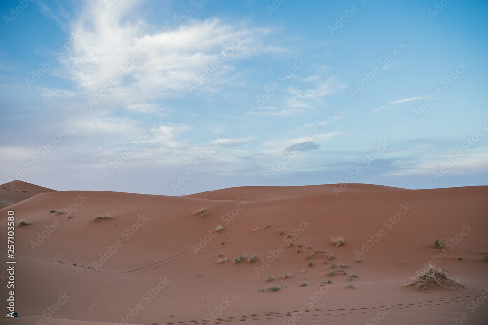 Sand dunes in the sahara desert in africa Sand dunes in the sahara desert in africa