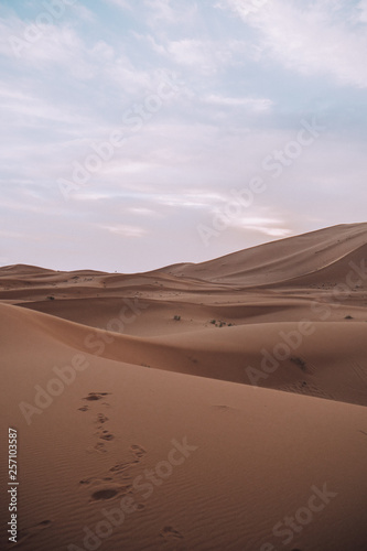 Sand dunes in the sahara desert in africa