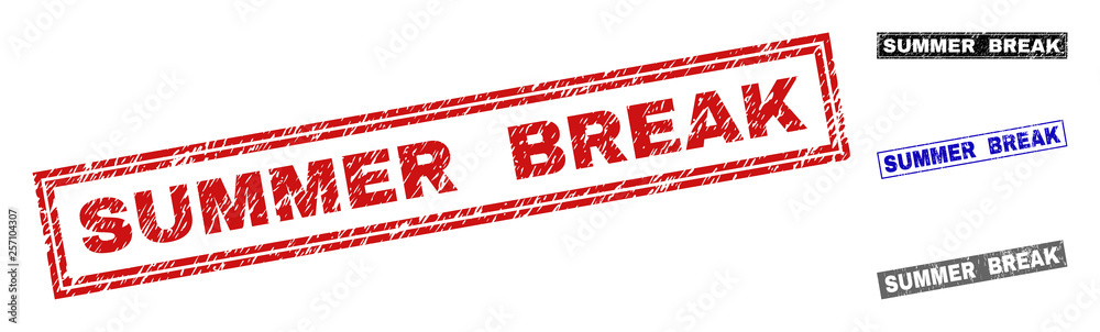Grunge SUMMER BREAK rectangle stamp seals isolated on a white background. Rectangular seals with grunge texture in red, blue, black and gray colors. Grunge SUMMER BREAK rectangle stamp seals isolated on a white background. Rectangular seals with grunge texture in red, blue, black and gray colors.