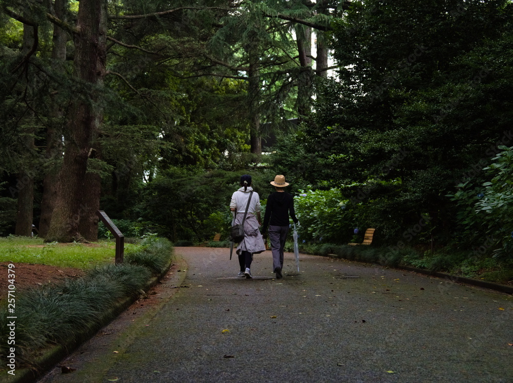 couple walking in the park