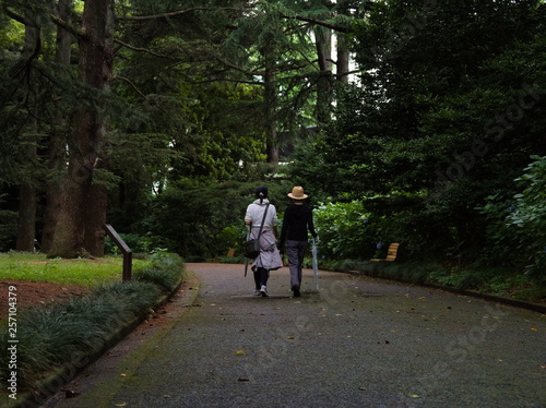 Obraz na płótnie couple walking in the park w salonie