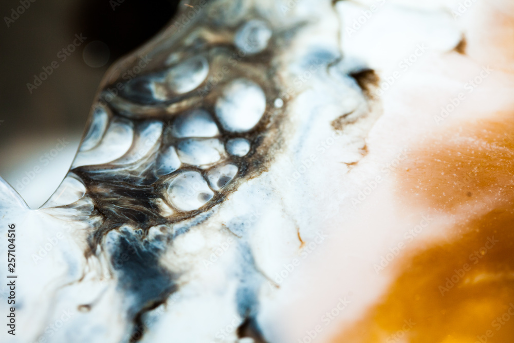 Epoxy resin art. Abstract composition for your design. Macro photo Epoxy resin art. Abstract composition for your design. Macro photo