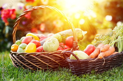 Foto Vegetables in basket at the garden, outdoor