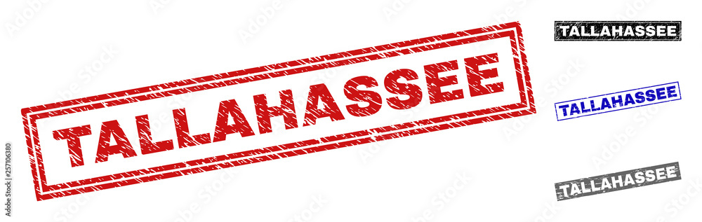 Grunge TALLAHASSEE rectangle stamp seals isolated on a white background. Rectangular seals with grunge texture in red, blue, black and grey colors. Grunge TALLAHASSEE rectangle stamp seals isolated on a white background. Rectangular seals with grunge texture in red, blue, black and grey colors.