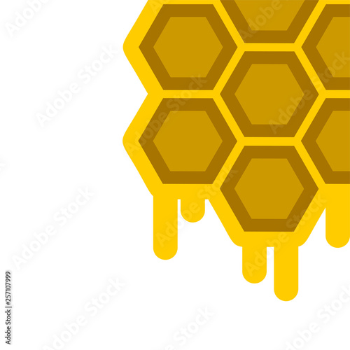honey hive illustration