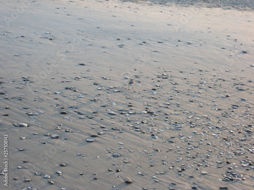Beach texture