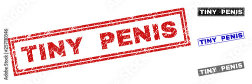 Grunge TINY PENIS rectangle stamp seals isolated on a white background. Rectangular seals with grunge texture in red, blue, black and grey colors.