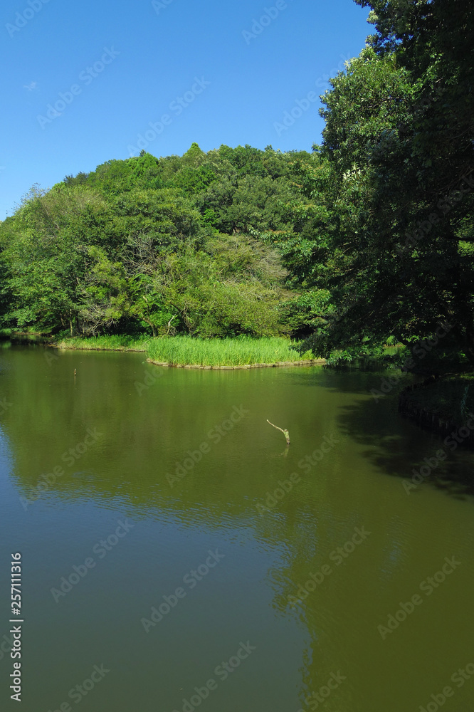 神奈川県立座間谷戸山公園の風景