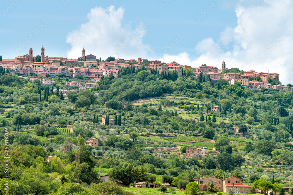 Montalcino skyline and Italy Val D'Orcia countryside in Tuscany hilltop small town village cityscape in summer green trees