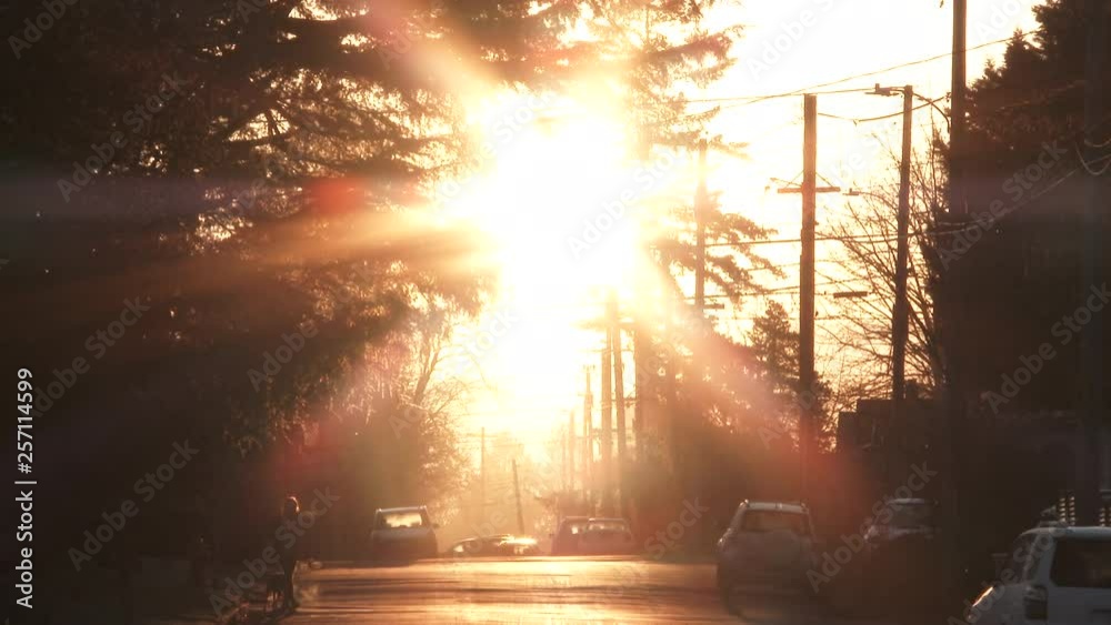 Early Morning Sun Shining In City Neighborhood