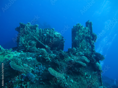 Underwater world in deep water in coral reef and plants flowers flora in blue world marine wildlife, travel nature beauty exploration in diving trip,adventures recreation dive. Wreck artificial object