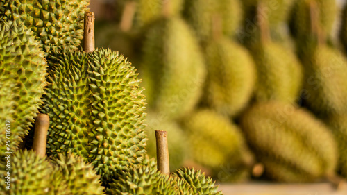 Durian fruit in the market