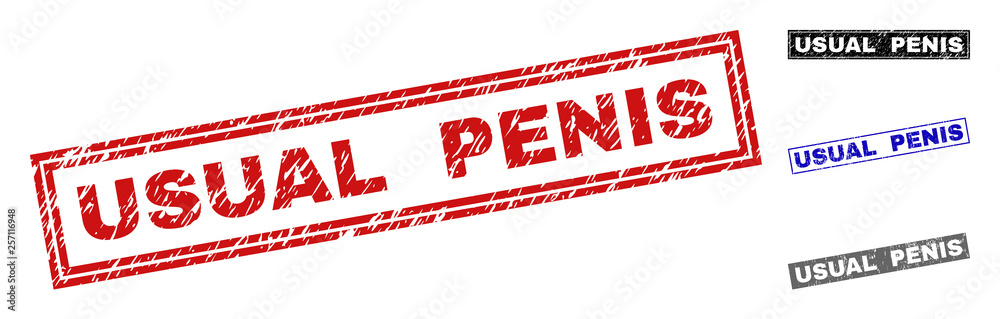 Grunge USUAL PENIS rectangle stamp seals isolated on a white background. Rectangular seals with grunge texture in red, blue, black and grey colors. Grunge USUAL PENIS rectangle stamp seals isolated on a white background. Rectangular seals with grunge texture in red, blue, black and grey colors.