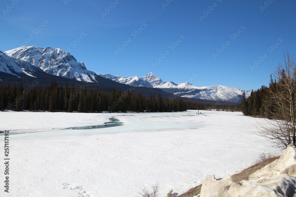 Fototapeta premium Snowy Athabasca River, Jasper National Park, Alberta