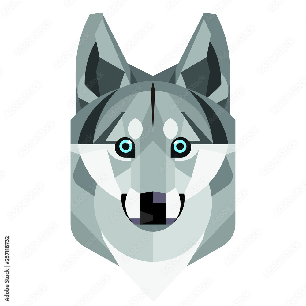 Fototapeta premium Flat geometric husky cute dog face. vector illustration isolated on white