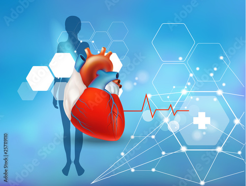Healthy heart. Concept The volumetric image