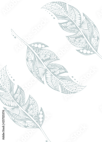 Hand-drawn feathers with doodle patterns. Hand draw illustration.