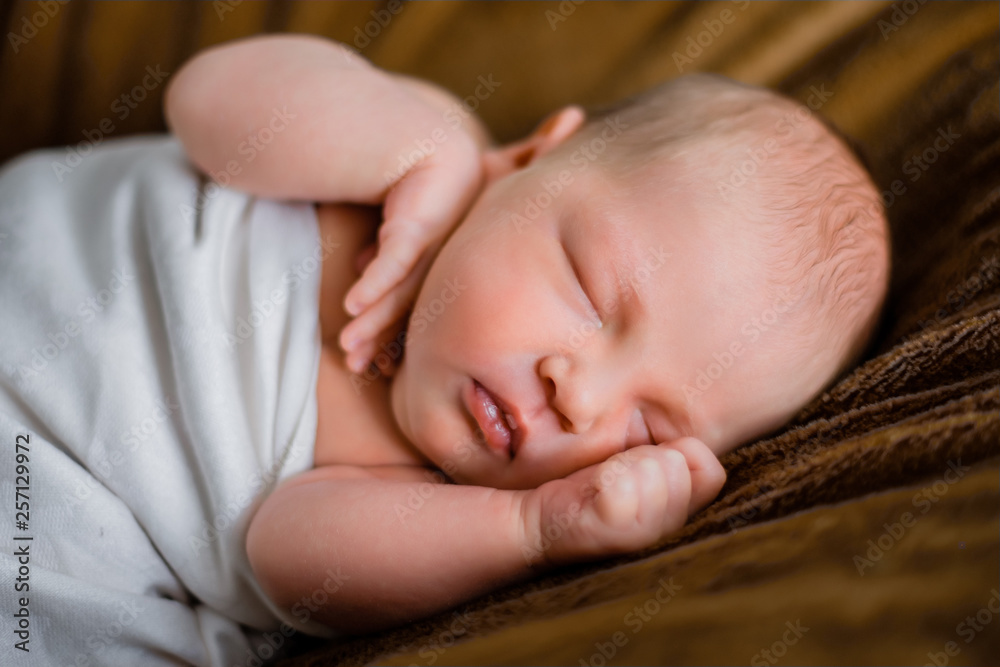 newborn boy is sleeping. brown background