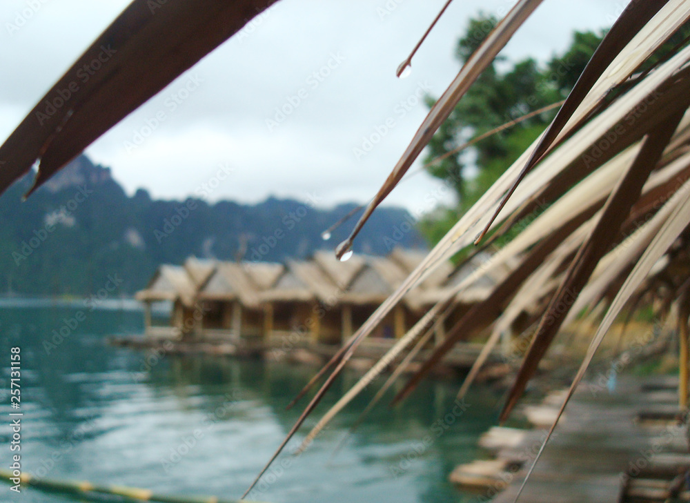 The boathouse roof are made from bamboo leave.