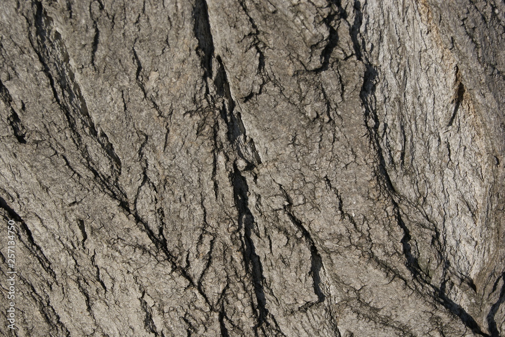 texture texture
