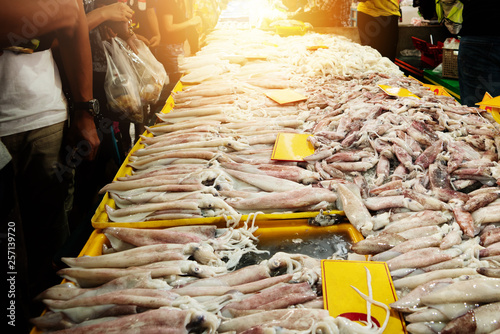 Fresh Market Seller, Squid Seafood Fresh Raw Food