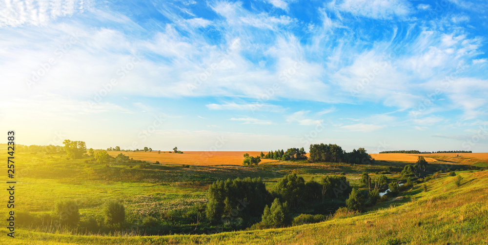 Sunny summer panoramic landscape with trees,small river,golden wheat fields and green meadows at sunrise 