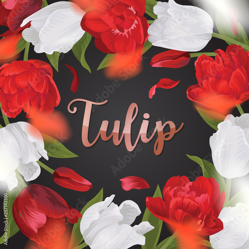 Blooming beautiful red with white tulip flowers background template. Vector set of blooming floral for wedding invitations, greeting card, voucher, brochures and banners design.