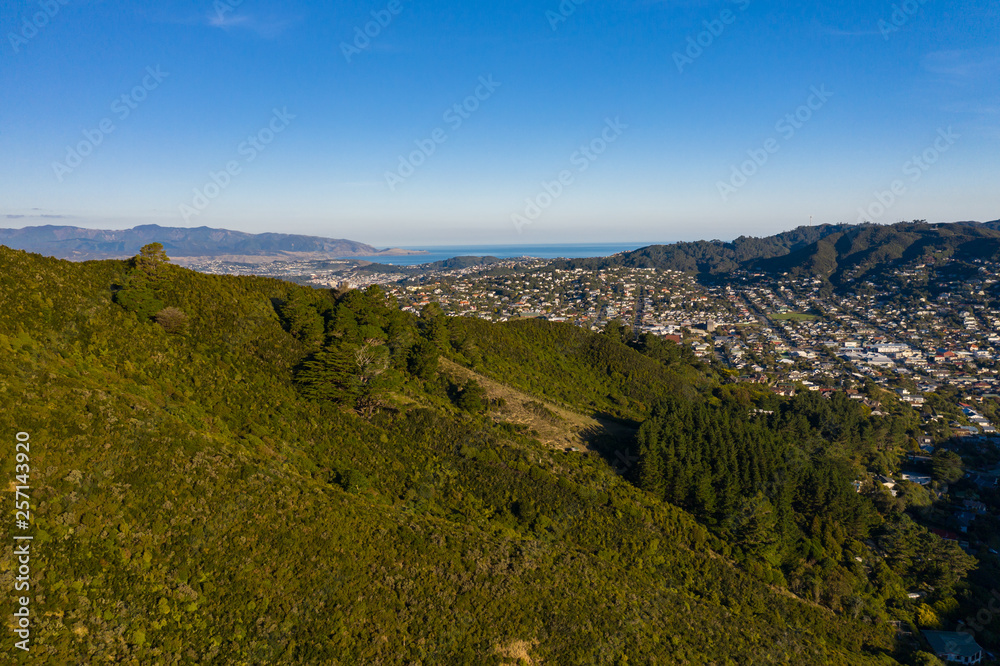 Obraz premium Wide View Of Wellington City, Karori and Lyall Bay in Distance 