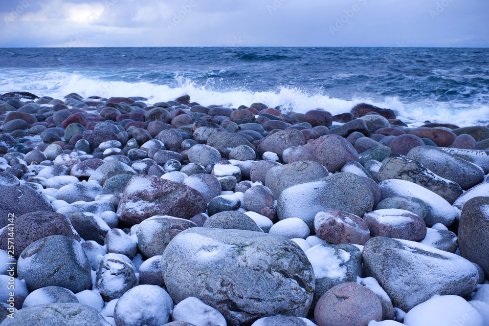 Stones on the coast of the Barents Sea in February twilight. Teriberka, Russia Stones on the coast of the Barents Sea in February twilight. Teriberka, Russia