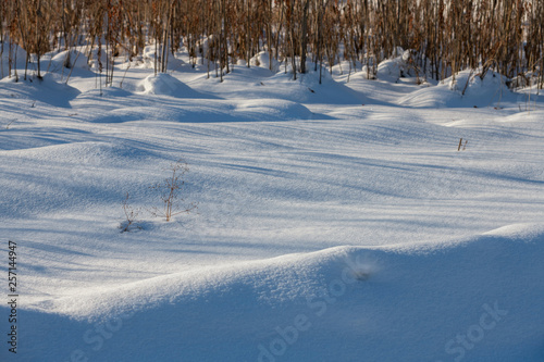 Snow texture with perspective or winter background © Tatiana Gasich
