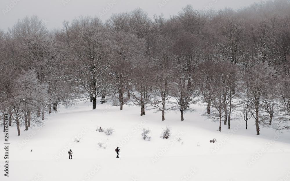 Cross-country Skiers In Winter Landscape Cross-country Skiers In Winter Landscape