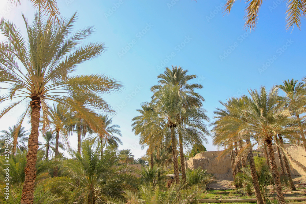 Nizwa Fort