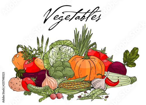 Poster with hand drawn vegetables on a white background.
