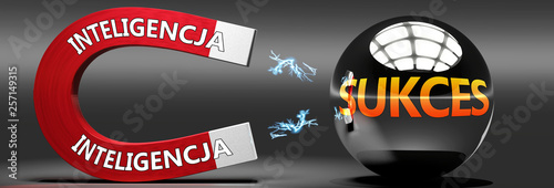 Inteligencja i sukces - Int...