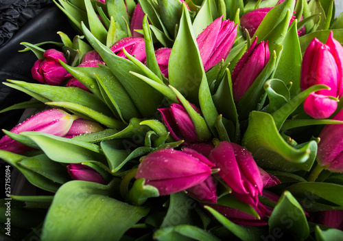 Bouquet of pink tulips closeup. Background of tulips