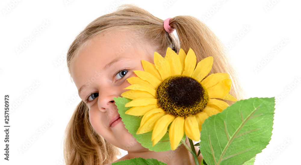 little smiling girl with pigtails and sunflower little smiling girl with pigtails and sunflower