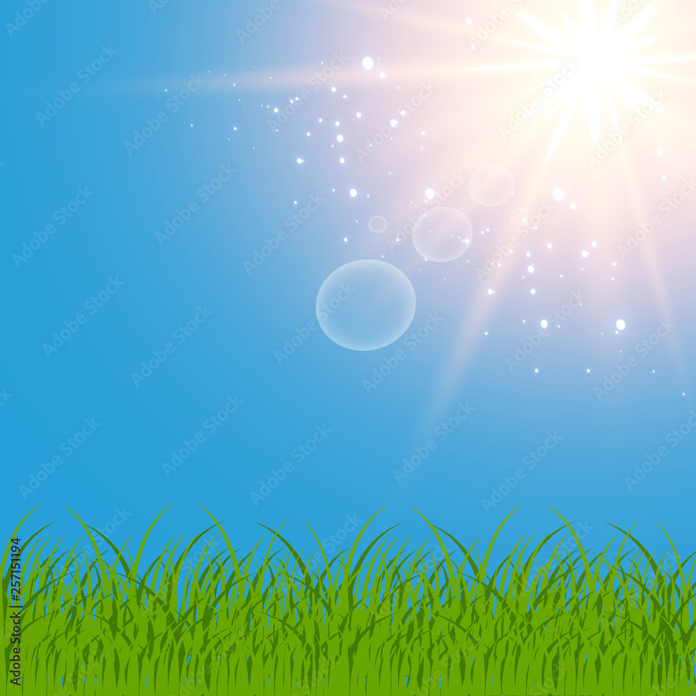 Green grass on a transparent background. Glade in the forest grass. Vector illustration on a light background. Green grass on a transparent background. Glade in the forest grass. Vector illustration on a light background.