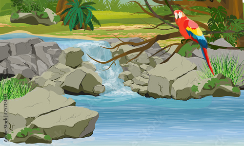 Waterfall in the jungle. Bright macaw parrot on the branches of a tropical tree. Rock, creepers, banana trees and epiphytic ferns. South America and Africa. Realistic Vector Landscape