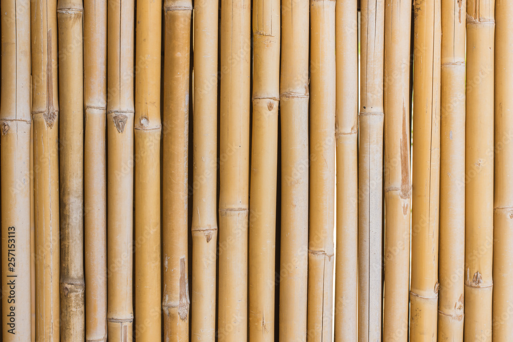 Bamboo wall Bamboo wall