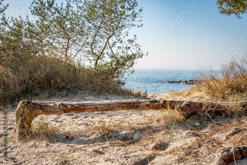 Fototapeta Naklejka Na Ścianę i Meble -  traumhafter, leerer Ostssestrand auf der Insel Rügen bei Thiessow, 