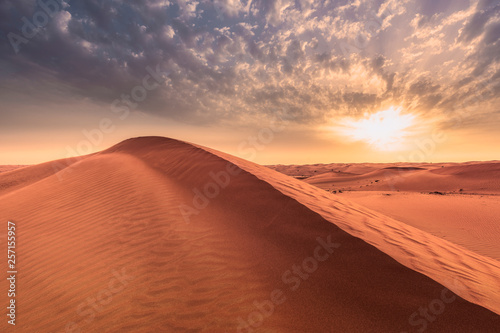Desert landscape during sunset.