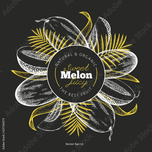 Whole melon and a pieces of melon design template. Hand drawn vector exotic fruit illustration on chalk board. Engraved style fruit banner. Retro botanical frame.