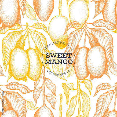 Mango branches seamless pattern. Hand drawn vector tropic fruit illustration. Engraved style fruit banner. Vintage exotic food background.