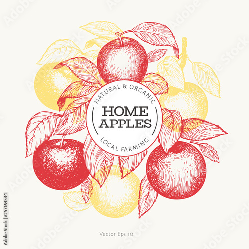 Apple branche design template. Hand drawn vector garden fruit illustration. Engraved style fruit frame. Retro botanical banner.