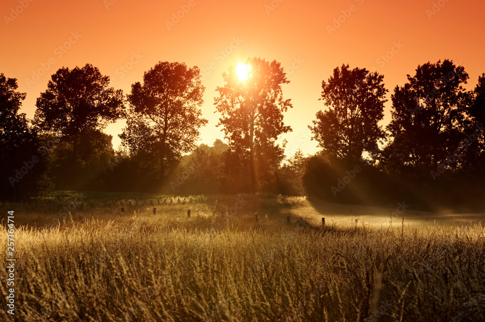 Fototapeta premium wheat field sunrise in french country side