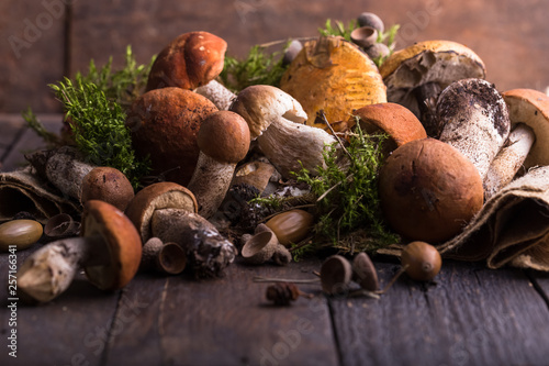 Ceps Mushroom Boletus over Wooden Background. Autumn Boletus edulis Mushrooms close up on wood rustic table. Cooking delicious organic mushroom. Gourmet food